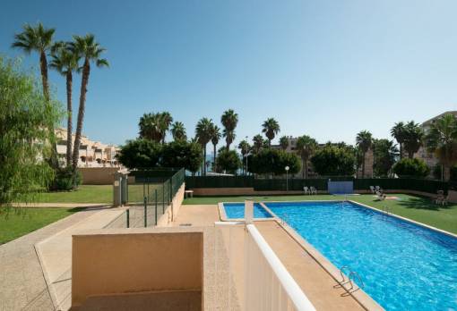 Apartment - Sale - La Mata - La Mata