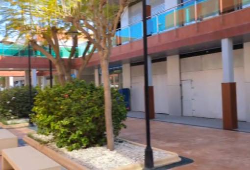 Commercial - Sale - Elche - La Marina
