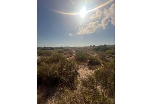Plot - Sale - Elche - El Pinet