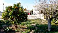 Sale - Detached house - San Fulgencio - Urb. Oasis